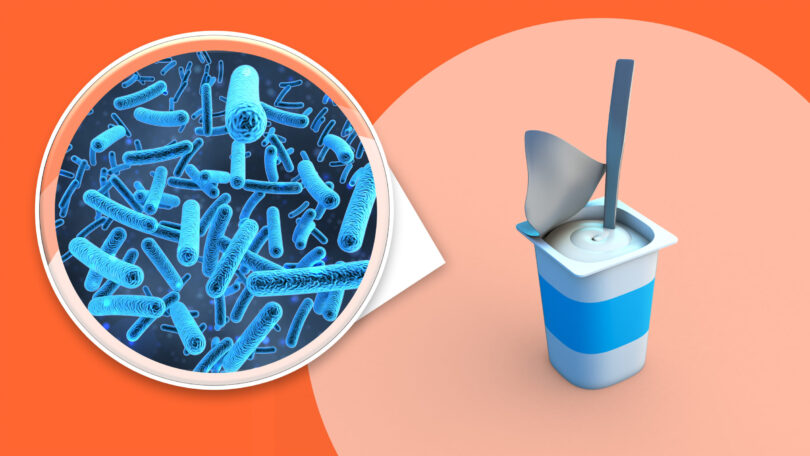 O dietă bogată în proteine ar putea reduce dramatic infecțiile cu holeră, arată un nou studiu