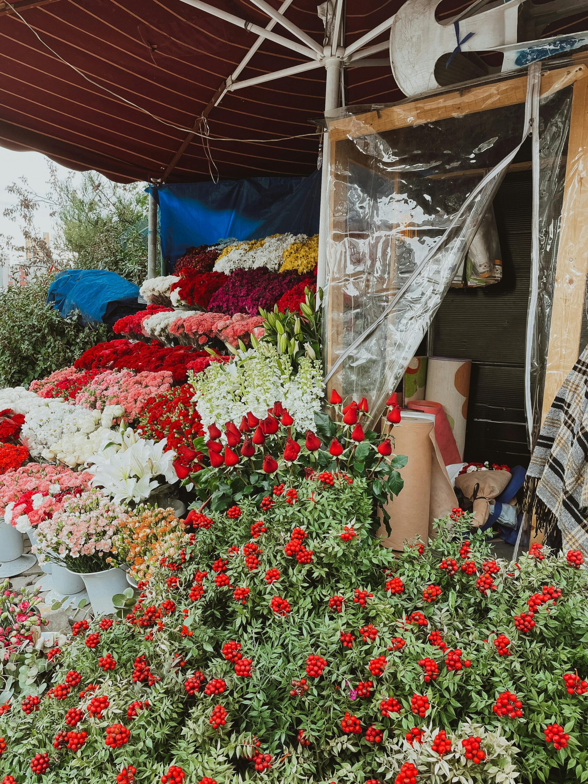 Specialiștii recomandă să optăm pentru flori cultivate în sere autohtone sau în aer liber, fără transport îndelungat și cu un consum mai mic de resurse. foto: pexels.com