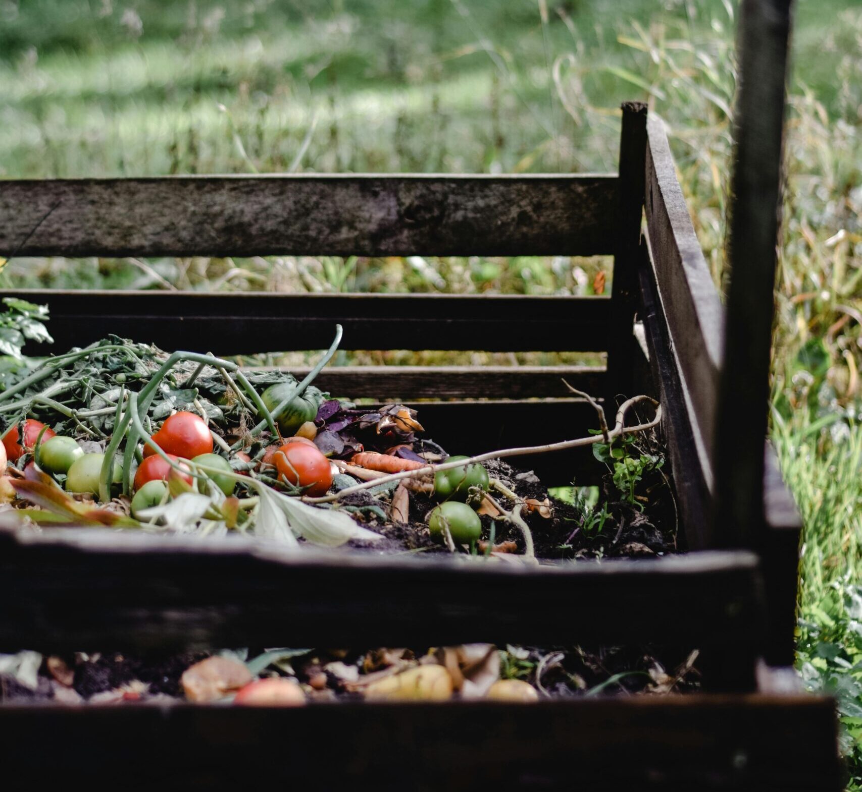 Pentru un compost sănătos, este important echilibrul între materiale bogate în azot și cele bogate în carbon. foto: pexels.com