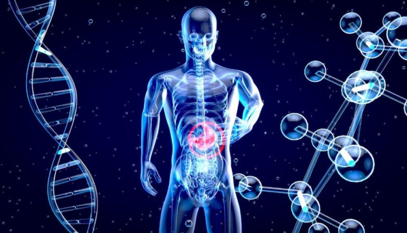 Sănătatea intestinală afectează aproape fiecare sistem din corpul tău. Faci suficient pentru a-l îngriji?