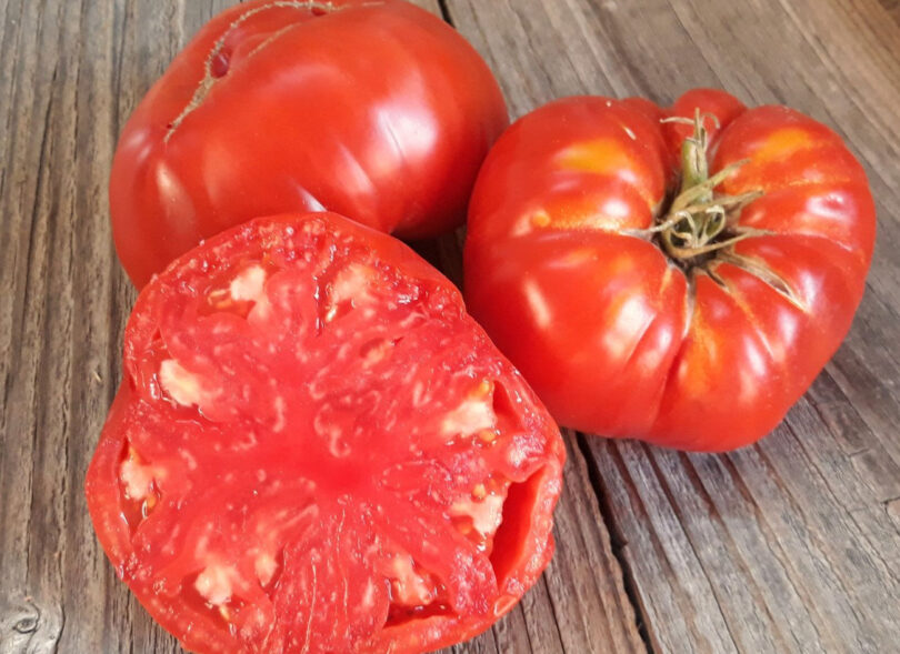 Ai mâncat roșii beefsteak? Care sunt diferențele față de alte soiuri de tomate