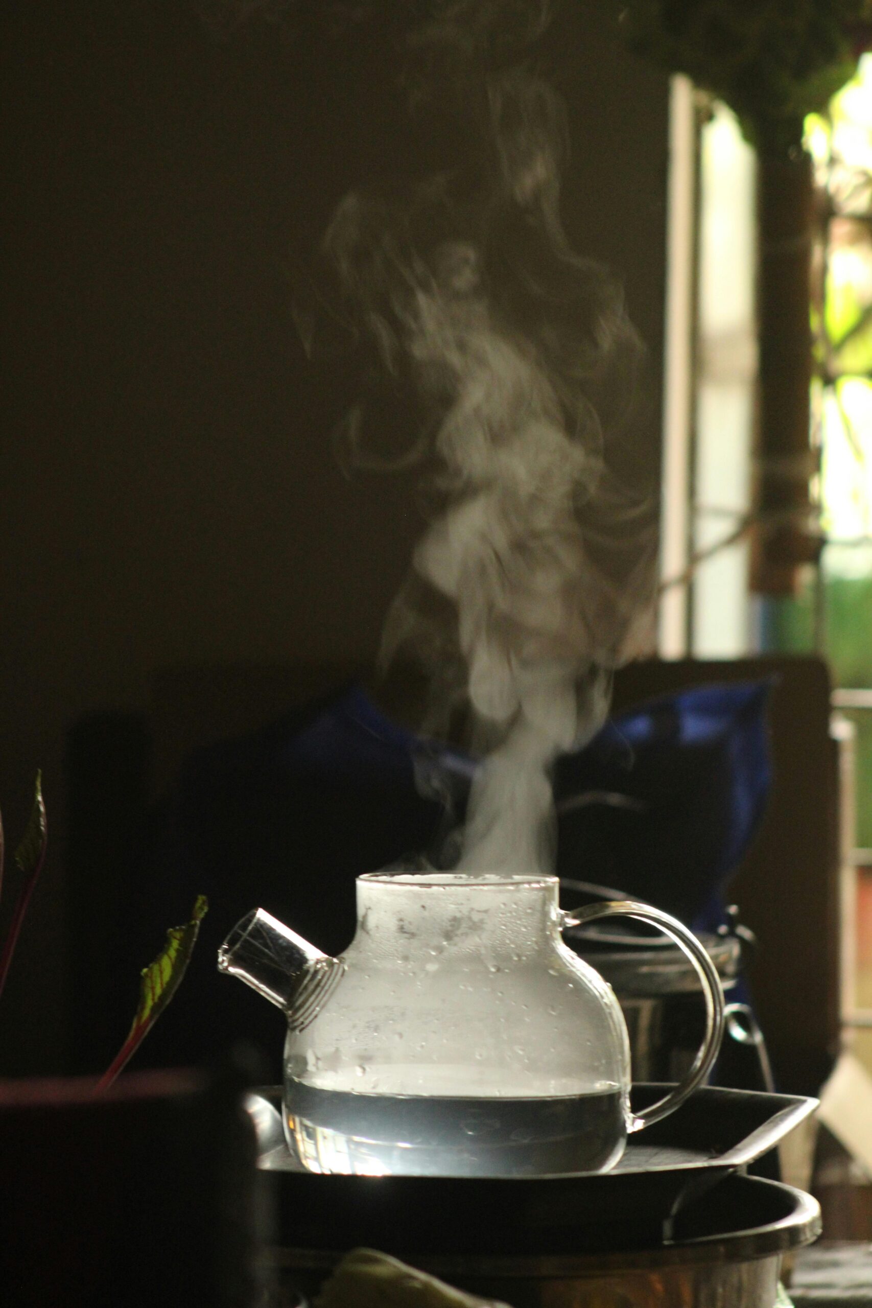 Conform principiilor TCM, băuturile calde ajută organismul să mențină echilibrul intern și sprijină funcționarea sistemului digestiv. foto: pexels.com