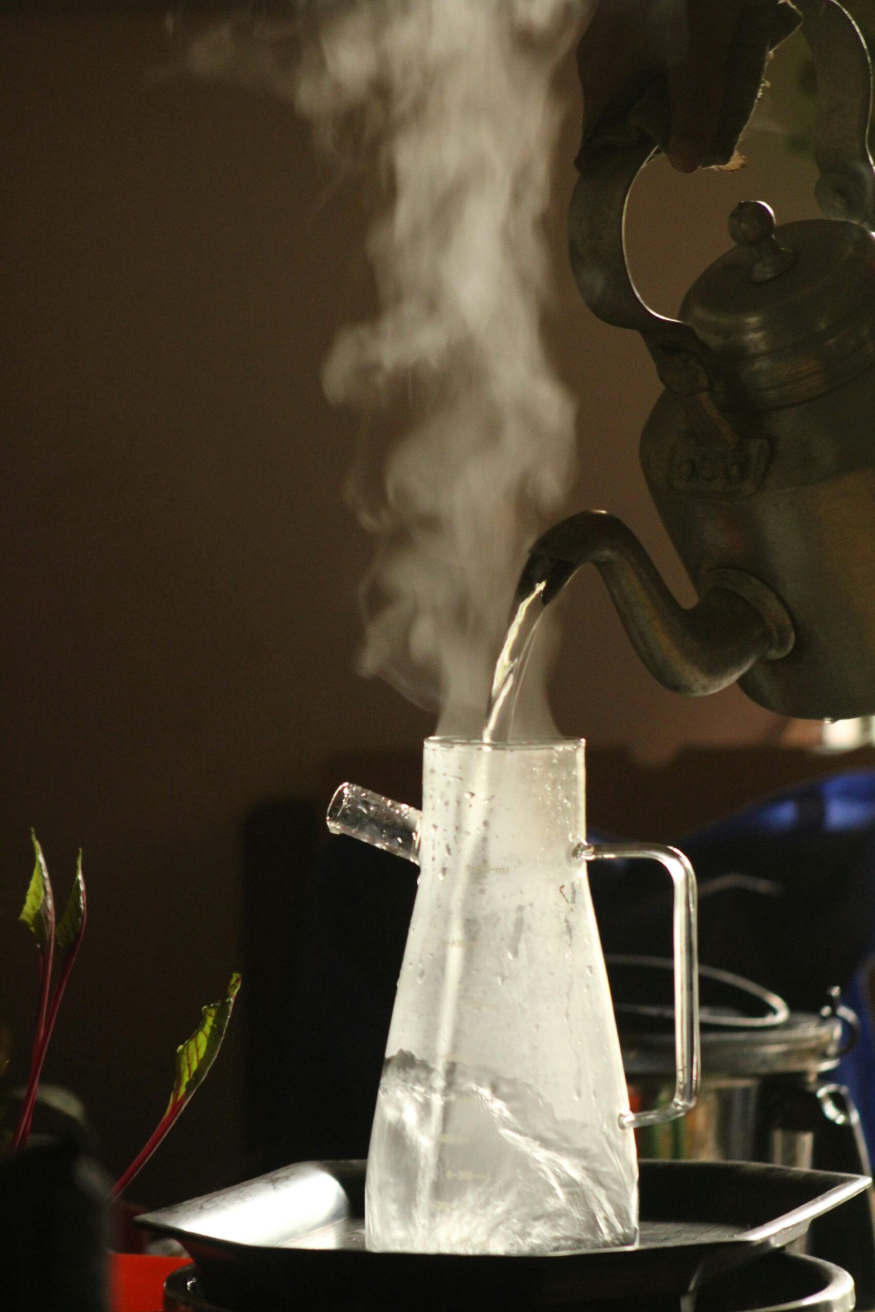 Medicina tradițională chineză consideră că digestia eficientă contribuie la transformarea alimentelor în energie vitală. foto: pexels.com