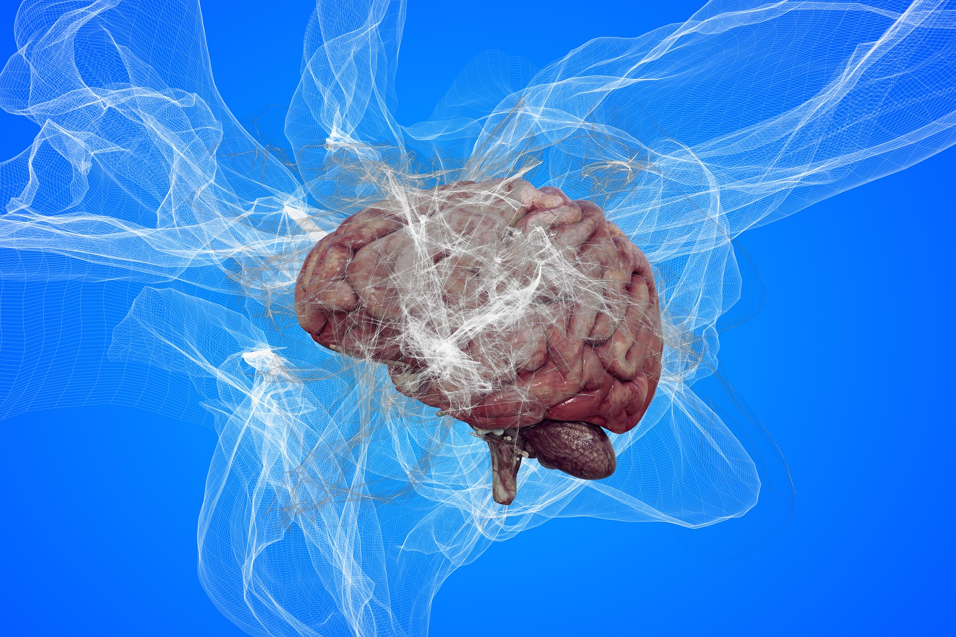Persoanele care au pornit de la cele mai scăzute niveluri de performanță cognitivă au înregistrat cele mai rapide și mai spectaculoase îmbunătățiri. Foto: pixabay.com