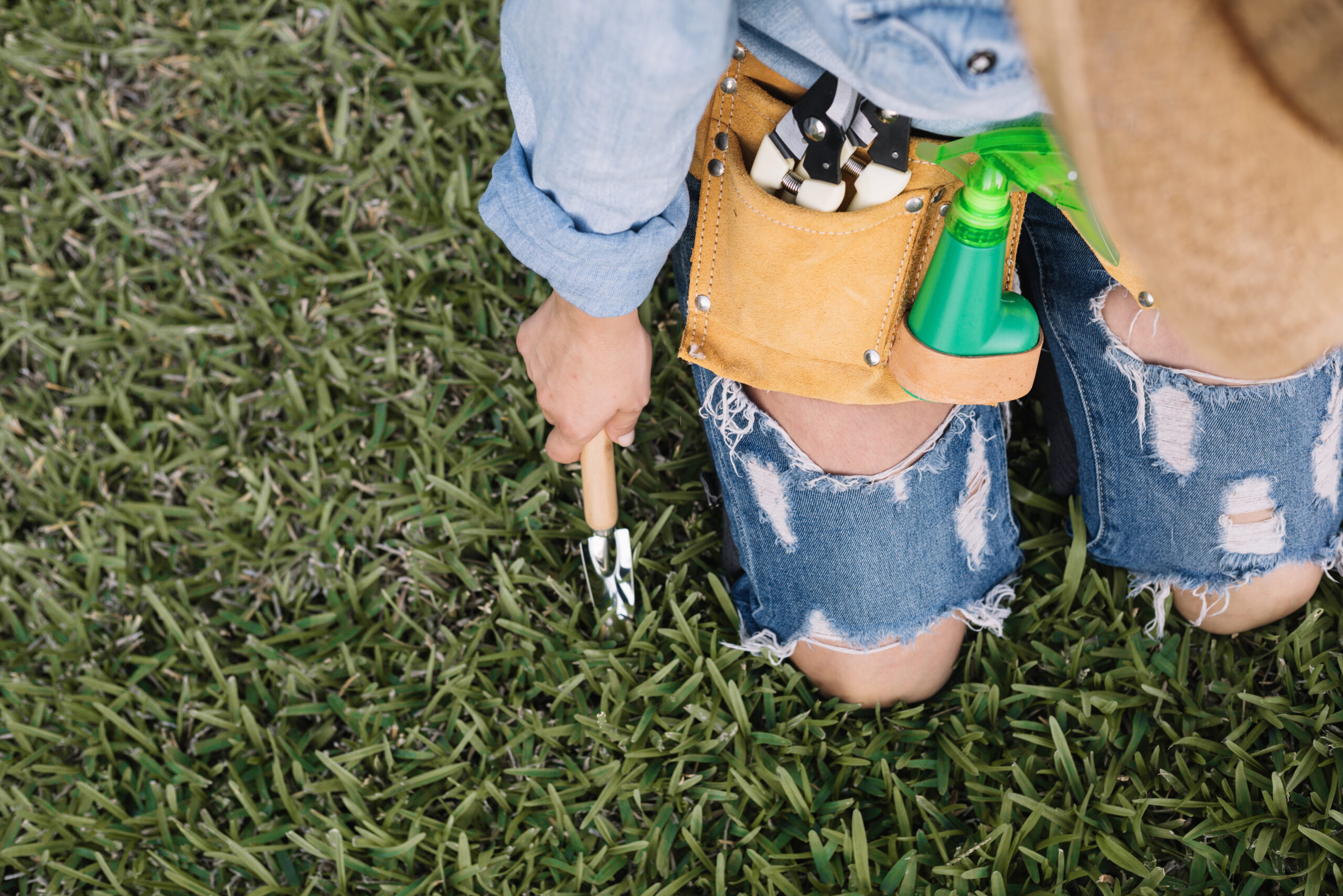 Petele de iarbă conțin o combinație de proteine și clorofilă, pigmentul verde natural al plantelor. Foto: pexels.com