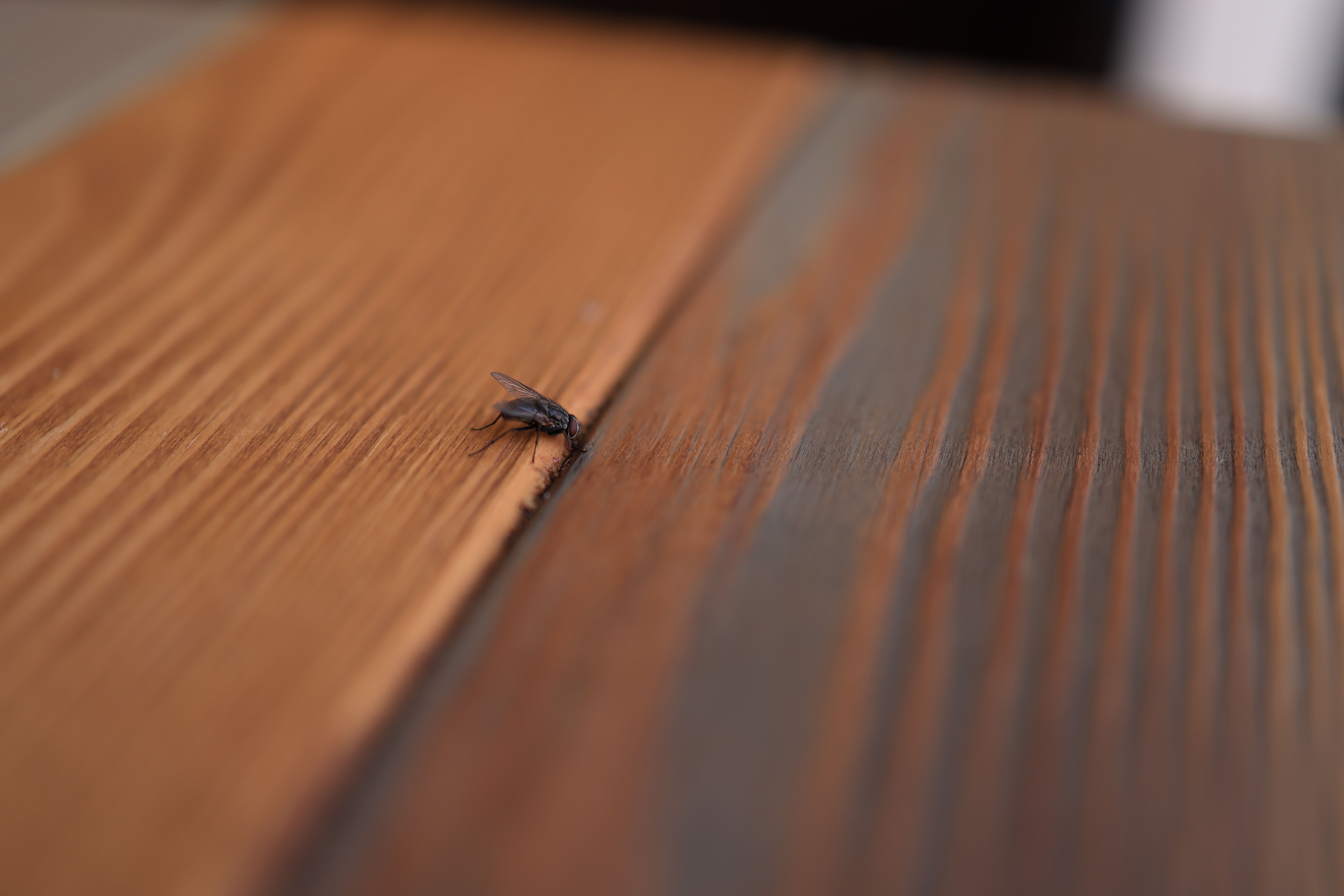 Folosiți o lingură de piper cayenne la două căni de apă fierbinte. Foto: pexels.com