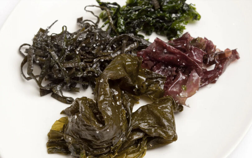 Algele marine, noua vedetă a gastronomiei! De ce tot mai mulți bucătari le introduc în meniuri