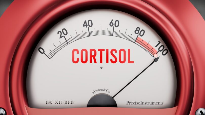 Cortizolul, hormonul pe care toată lumea îl învinovățește. Ce face cu adevărat stresul în organism și cât de mult influențează greutatea corporală. Ntr.Prof. Ing.Ana-Maria Demetrescu: „Termeni precum ‘cortisol face’ sau ‘cortisol belly’ au pornit din observații reale, dar au fost exagerați în online” EXCLUSIV