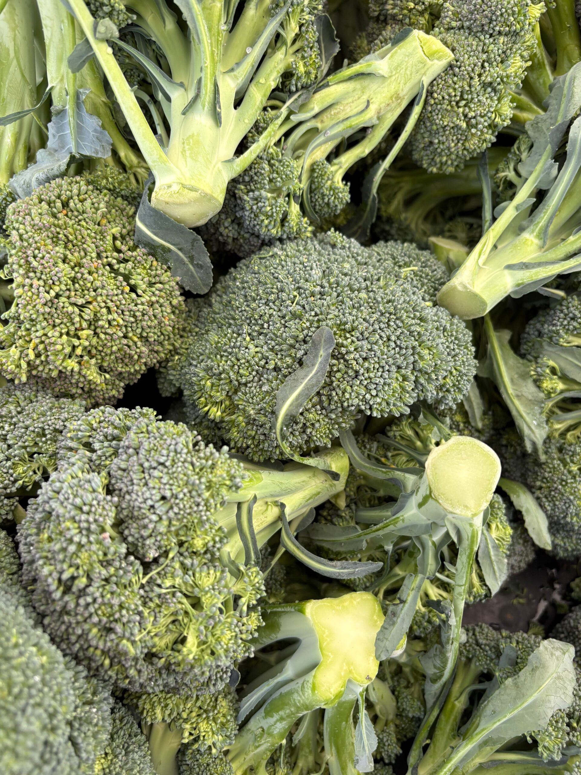 Broccoli mai conține și luteină și zeaxantină, doi antioxidanți importanți pentru sănătatea ochilor. Foto: pexels.com