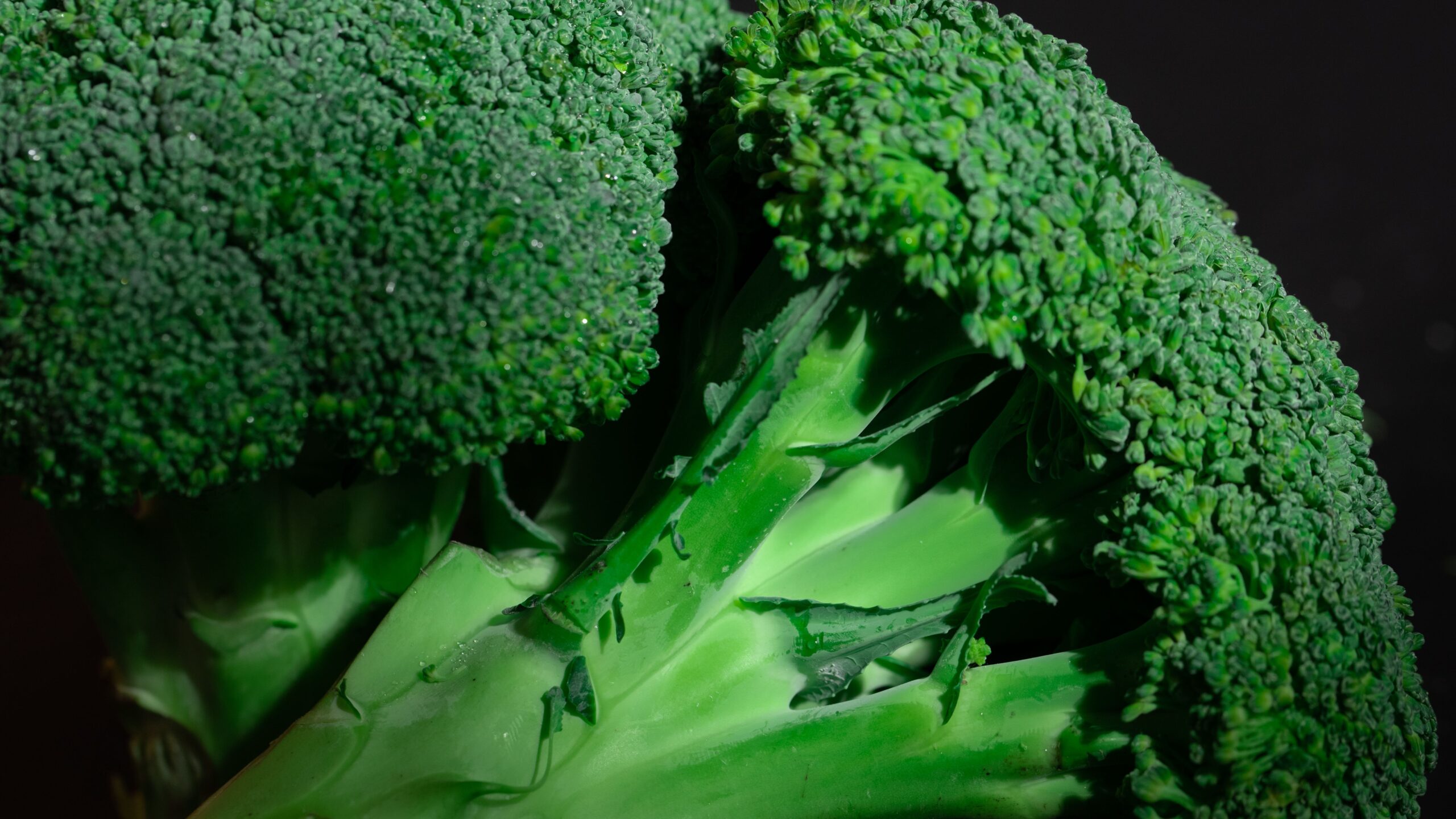 Anumite substanțe din broccoli, inclusiv sulforafanul și kaempferolul, sunt investigate pentru efectele lor asupra sistemului nervos. Foto: pexels.com