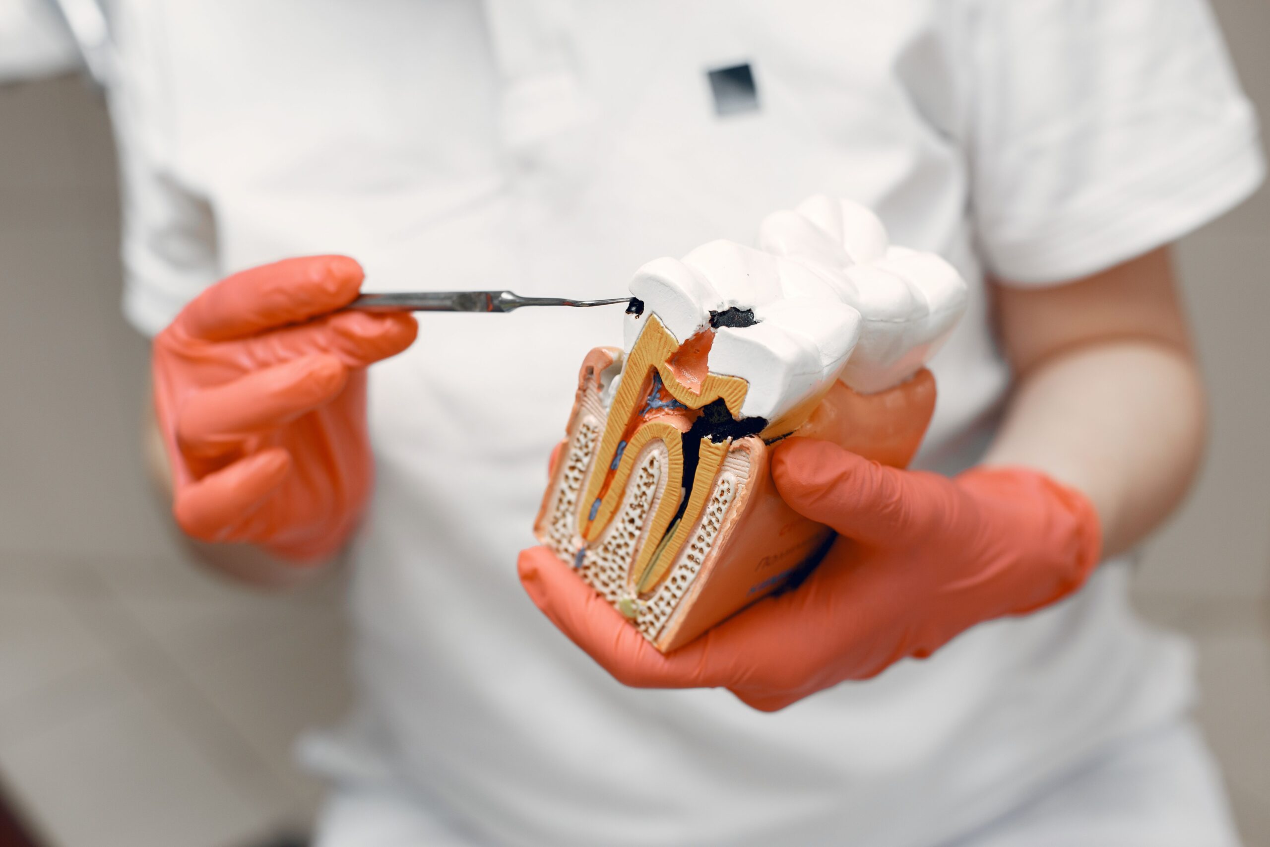Noul material are capacitatea de a regenera smalțul dentar deteriorat, oferind o soluție care reconstruiește structura lor naturală. Foto: pexels.com