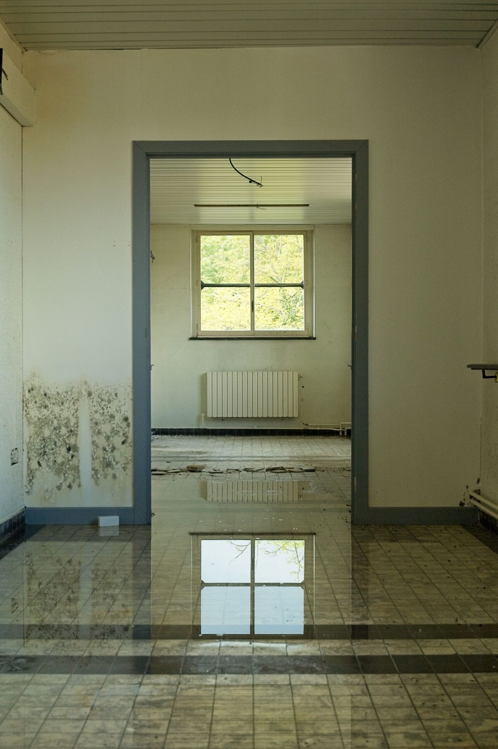 Dacă ai observat primele semne de umezeală în casă, este important să intervii cât mai repede, înainte ca problema să se agraveze. Foto: pexels.com