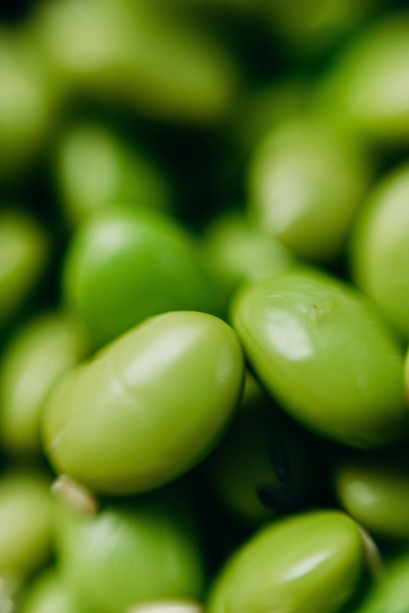 Edamame, boabele tinere de soia recoltate înainte de maturizare, au devenit tot mai populare în ultimii ani. Foto: pexels.com