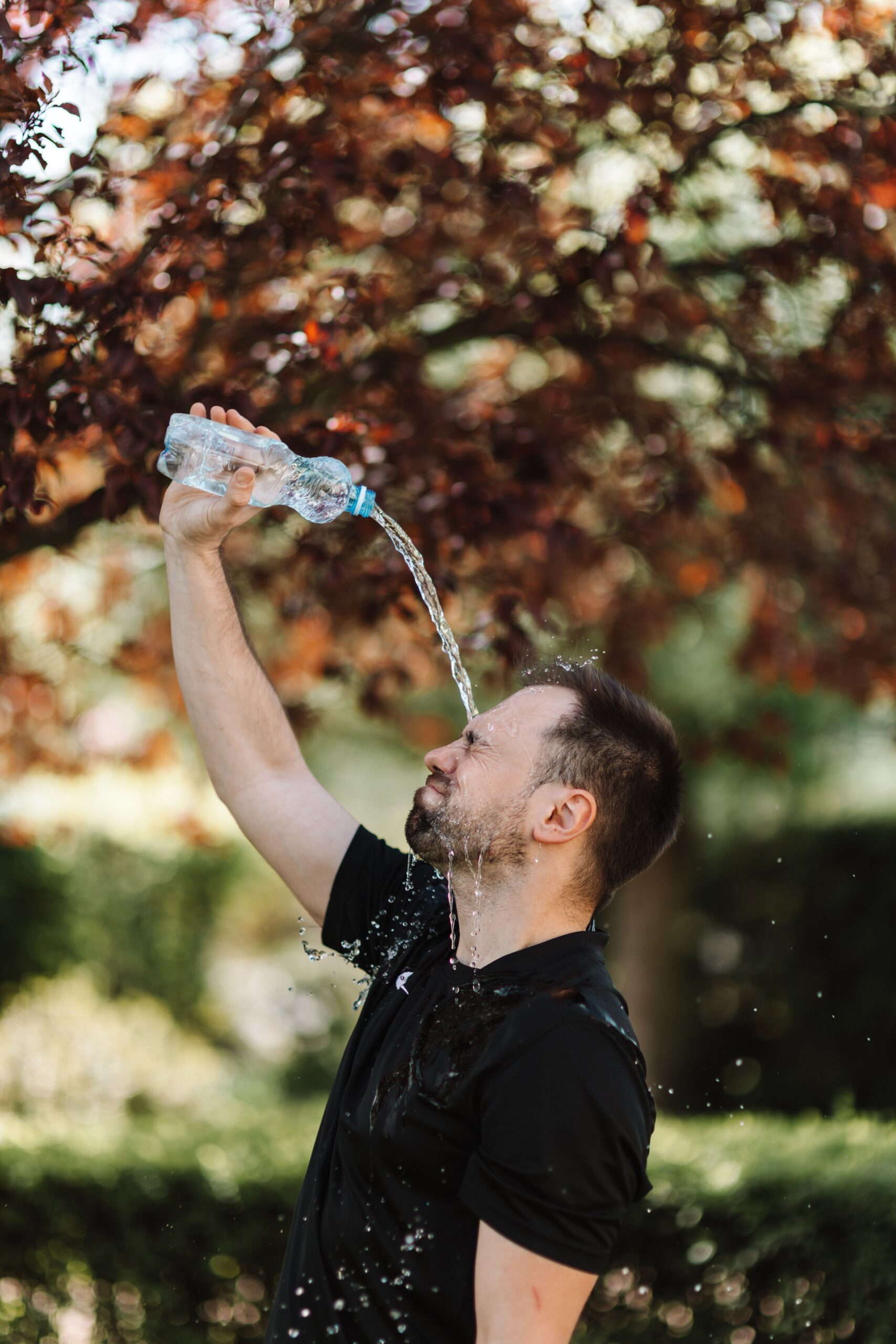 Aproximativ 14.000 de persoane și-au pierdut viața în urma temperaturilor extreme înregistrate pe continent în această perioadă. Foto: pexels.com