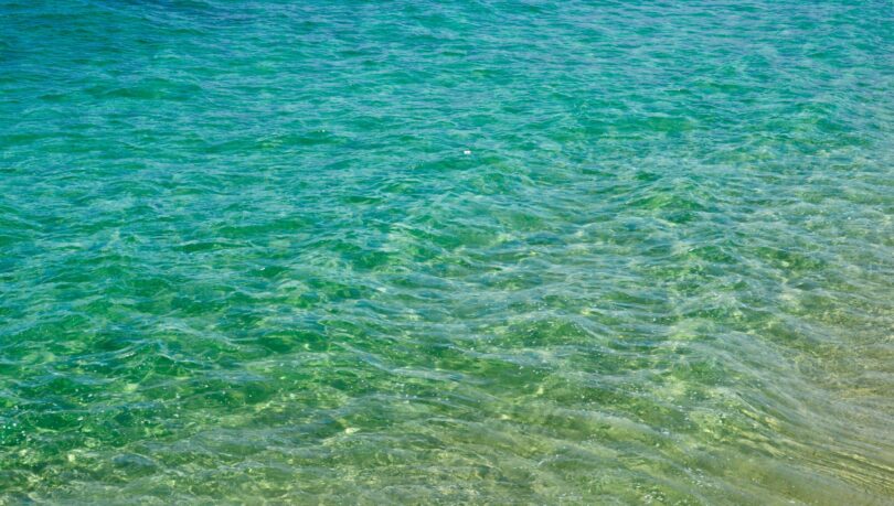 Bacterie „mâncătoare de carne”, descoperită în mare. Autoritățile avertizează turiștii: „Solicitați imediat îngrijiri medicale”