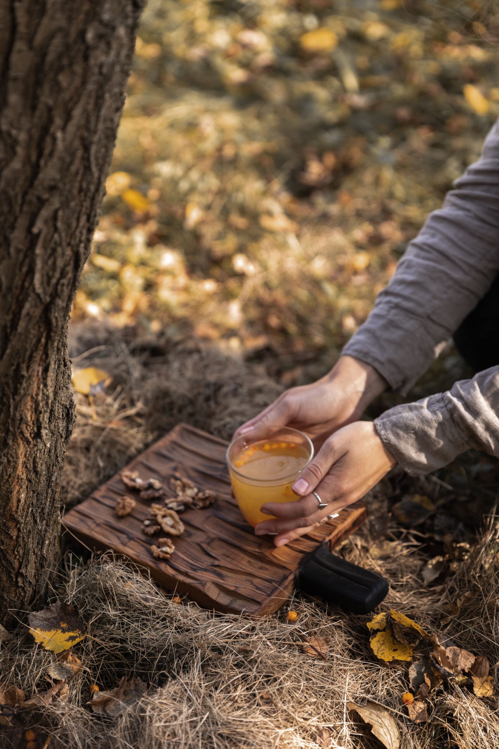 Frunzele de nuc conțin taninuri, flavonoide, vitamina C, ulei volatil și derivați de naftochinone, printre care juglona, dar și alte substanțe vegetale. Foto: pexels.com