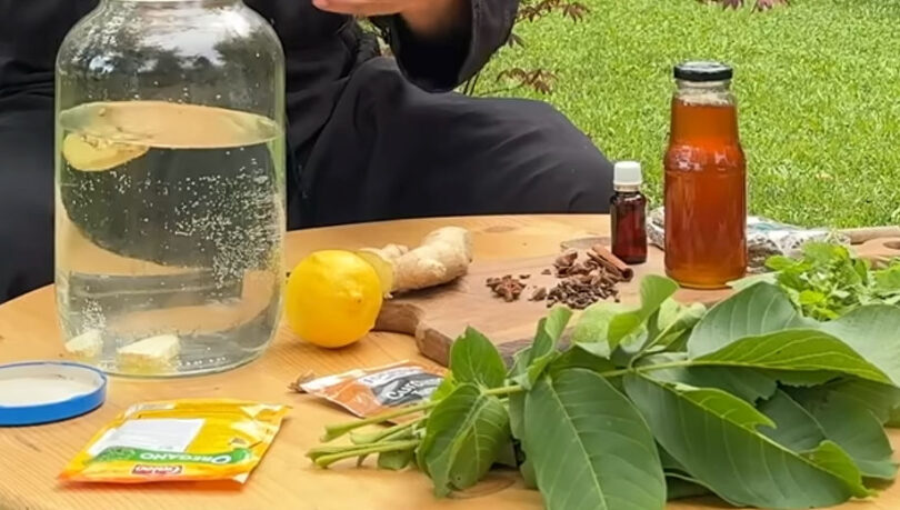 Ce conține celebra „limonadă de deparazitare” și de ce medicii nu recomandă consumul ei