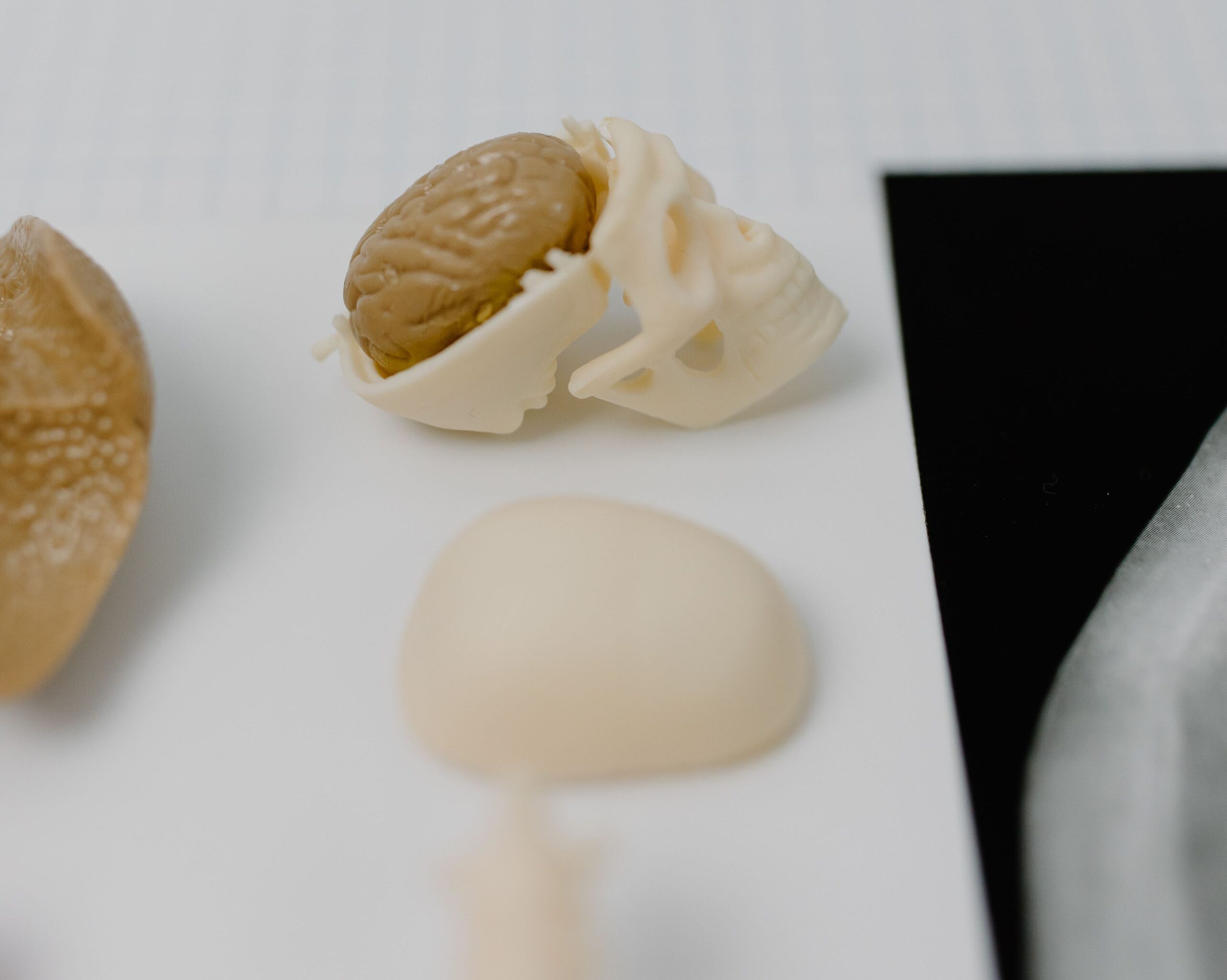 Celulele din organoide s-au modificat de-a lungul anilor într-un mod asemănător celulelor cerebrale normale. Foto: pexels.com