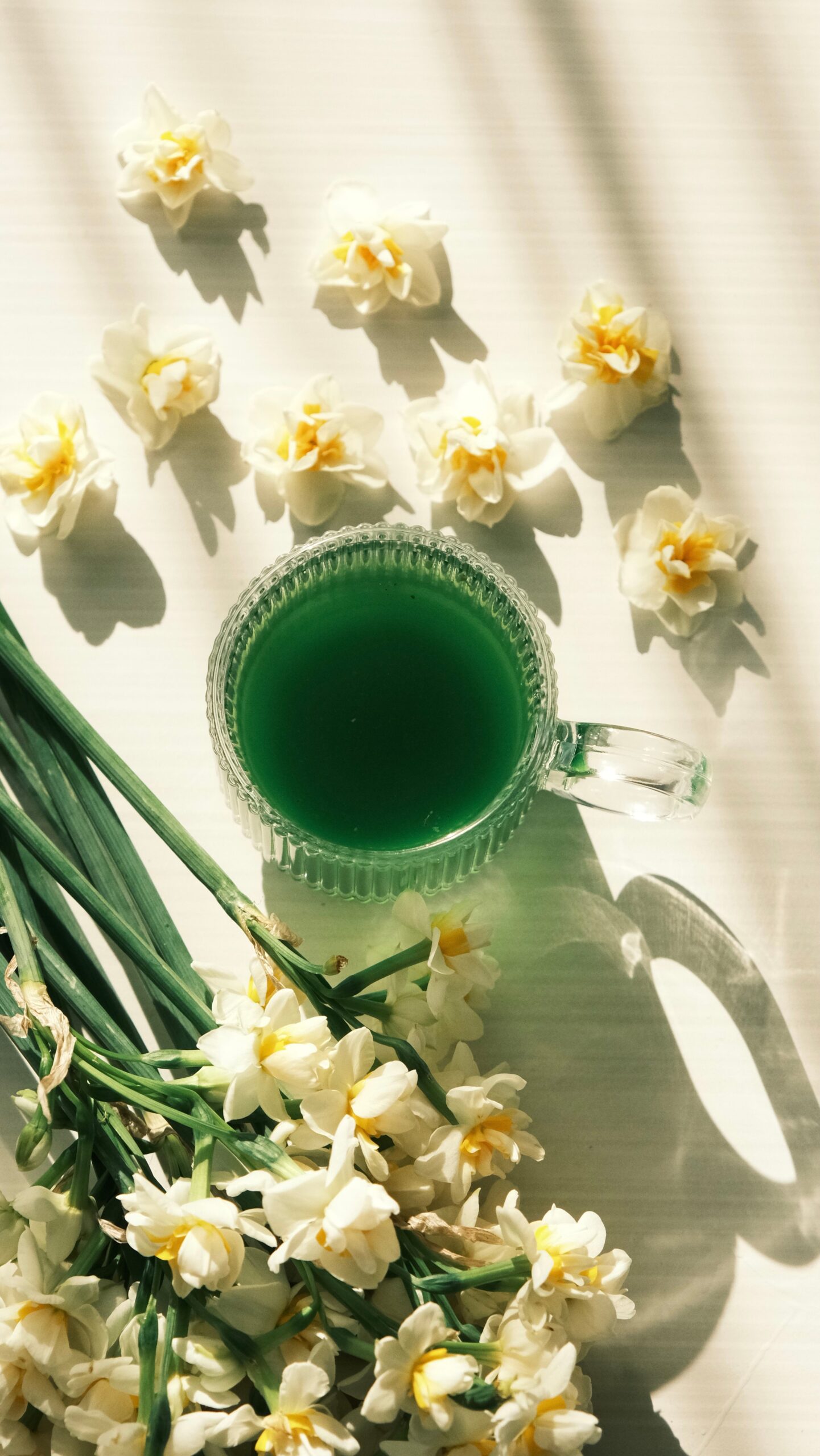 Datorită conținutului de antioxidanți și nutrienți, chlorella este analizată și pentru posibilele efecte asupra sănătății pielii. Foto: pexels.com