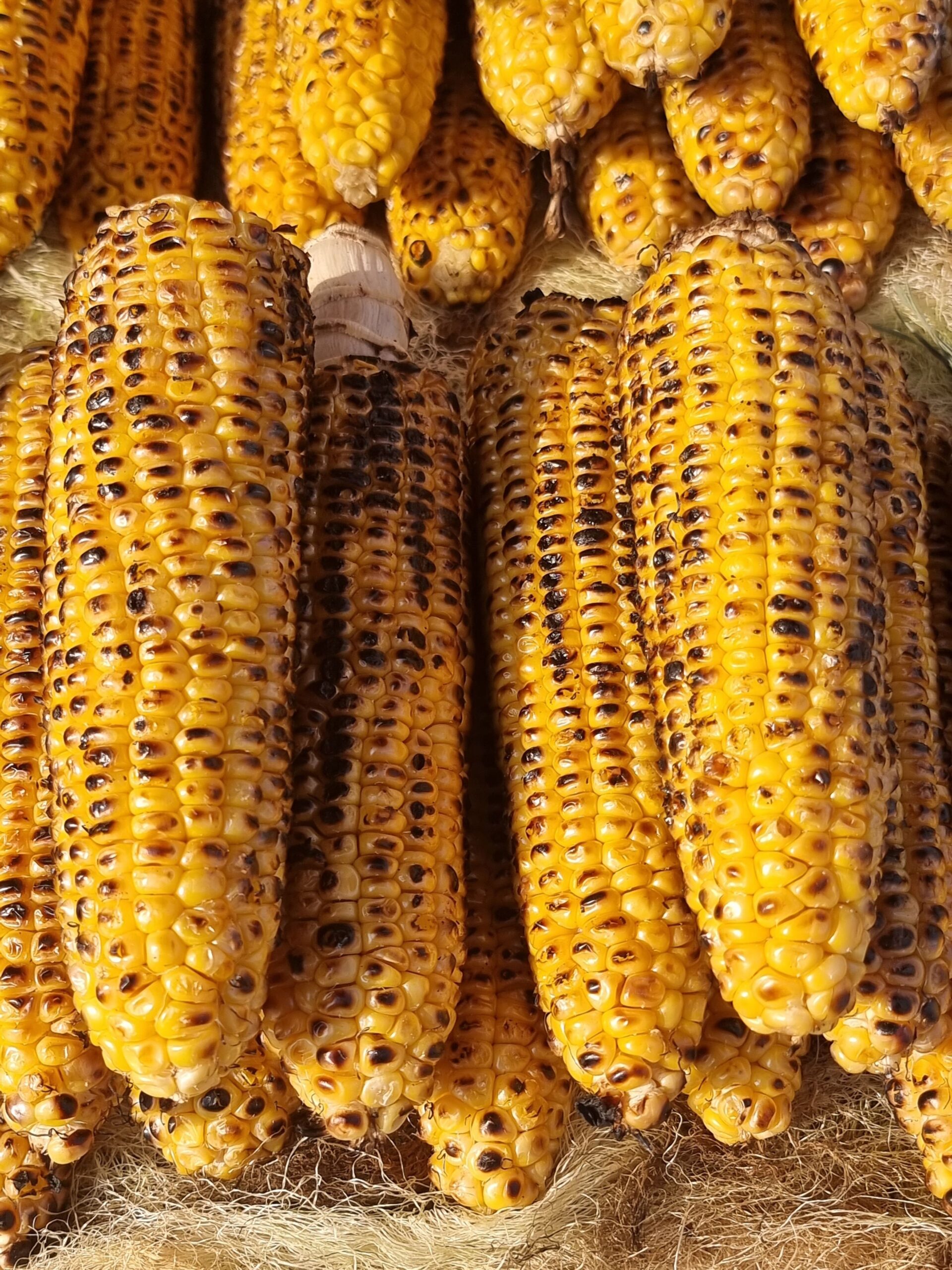 Din punct de vedere botanic și agricol, porumbul este o cereală. Foto: pexels.com