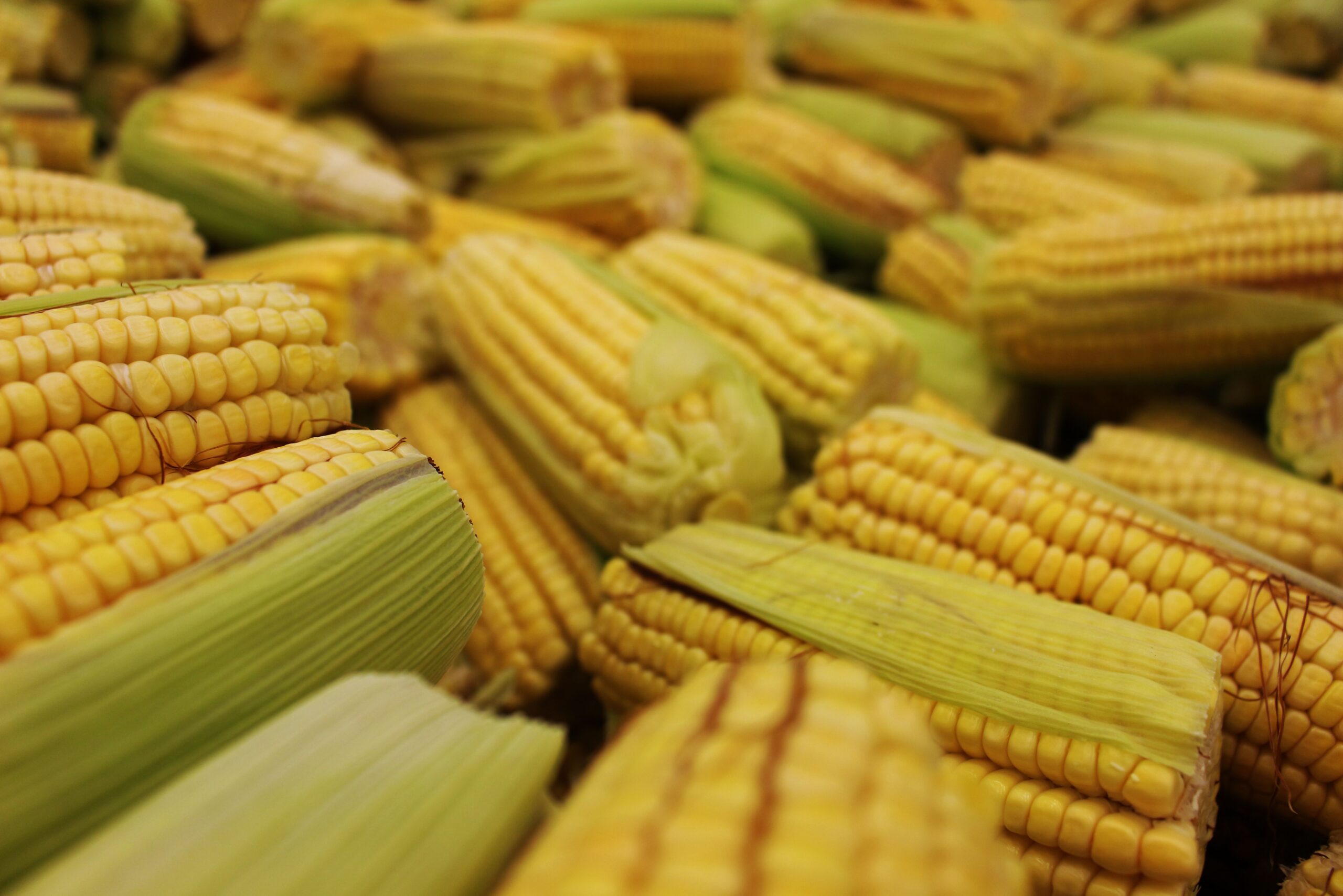 Fiert, copt pe grătar sau adăugat în salate și mâncăruri, știuletele este gustos și ușor de preparat. Foto: pexels.com